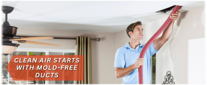Air Duct Mold Removal in Schaumburg