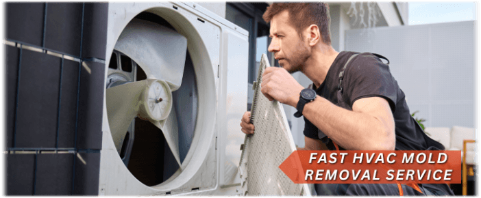 HVAC Mold Removal Schaumburg